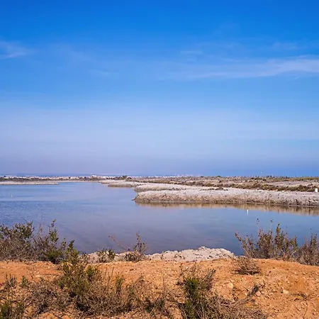 Claveles * Dehesa de Campoamor (Orihuela Costa)